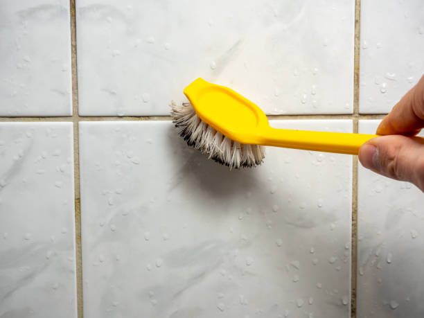 Best Black Mold Remediation in Northlake, IL