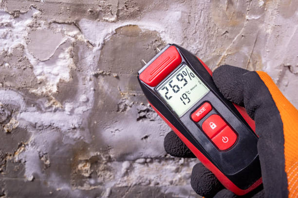Best Localized Mold Remediation (e.g., coastal areas, humid climates) in Northlake, IL